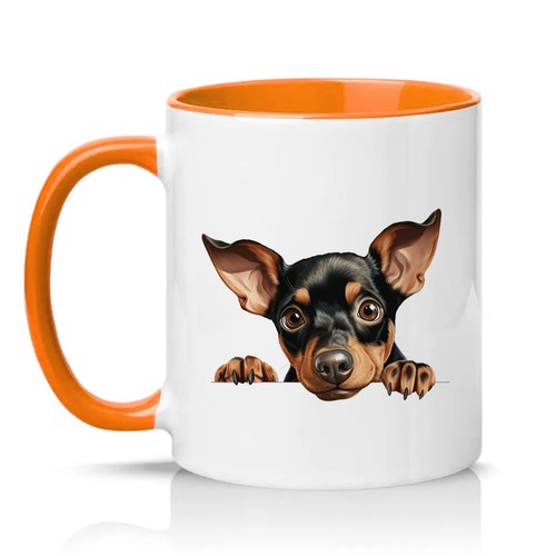 Peeking miniature pinscher - peeking,