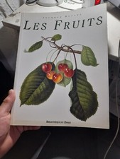 les fruits jacques brosso EST 2