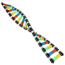 Modello di DNA a doppia : kit