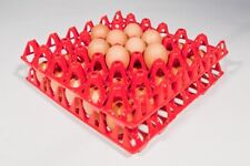 VASSOIO PORTA UOVA GALLINA