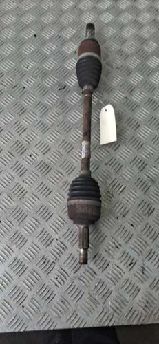 Giunto cardanico albero - , di