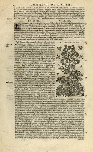 Stampa