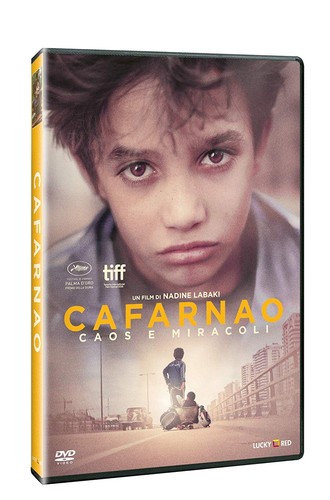 Film cafarnao caos e - caos,