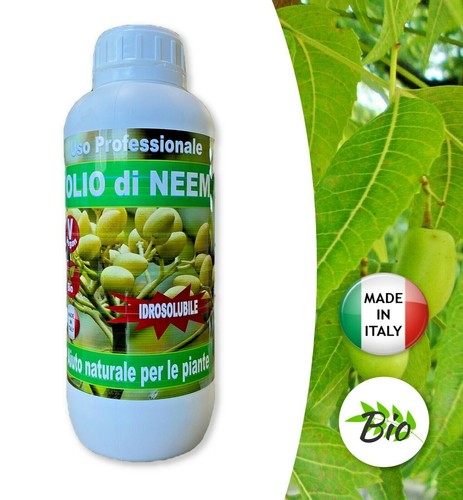 Olio neem insetticida - neem,