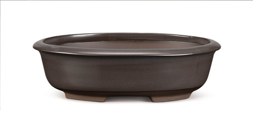 Certrè vaso per bonsai - certrè,