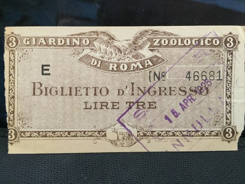 Biglietto ingresso roma - biglietto,