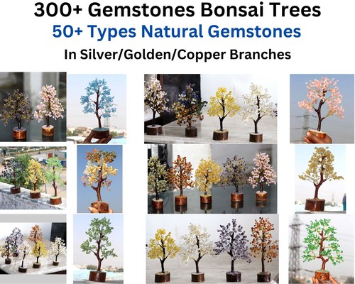 300 pietre preziose bonsai - 300,