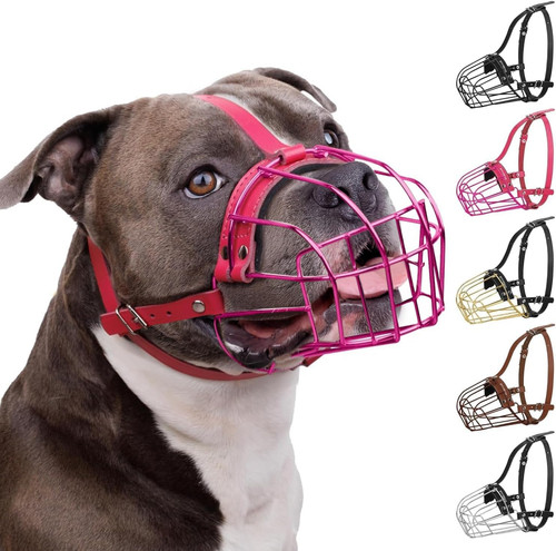 Amstaff museruola per cani - museruola,