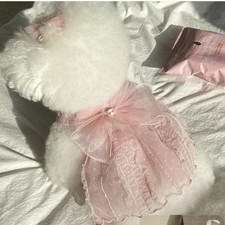 Vestiti per cani maltesi