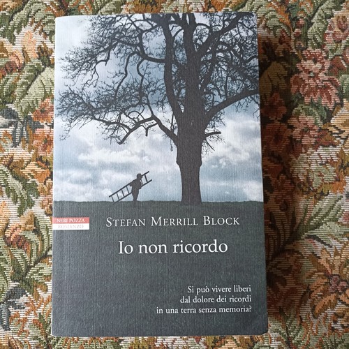 Non ricordo stefan merrill - io,