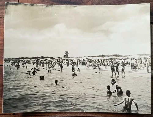 Marina ginosa anni 50 - di,