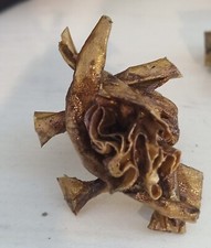 Anello Donna Ring In