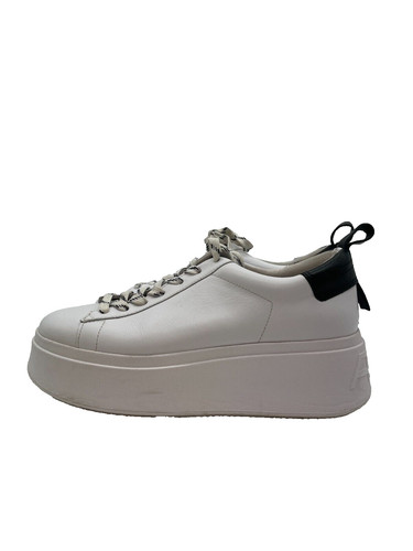 Scarpe ginnastica ash - ginnastica,