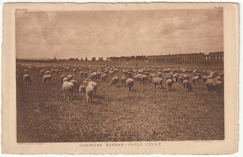 Roma campagna romana verso - roma,