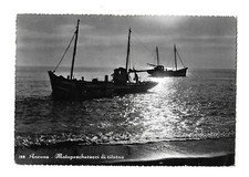 Ancona  -  Motopescherecci di ritorno