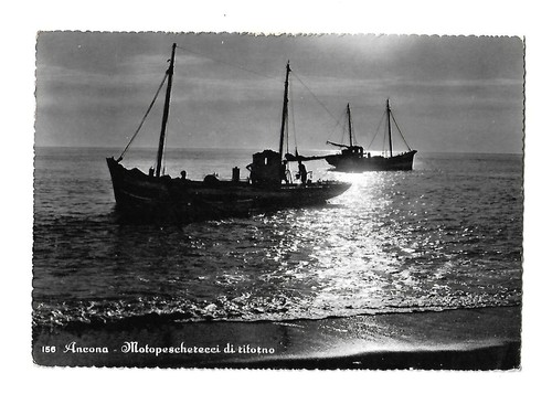 Ancona motopescherecci di - ancona,