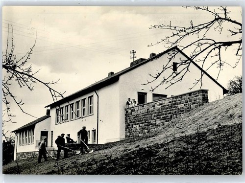 51372409 6121 rothenberg - 51372409,
