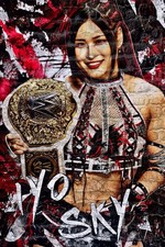 POSTER WWE GIGANTE 24” X