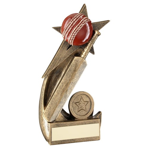 R4us trophy award - trophy,