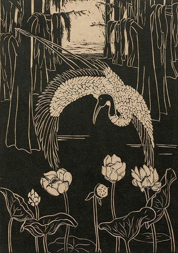Wood ibis anna taylor - ibis, y