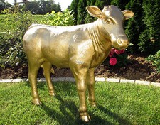 Vitello mucca liesel grandezza - mucca,