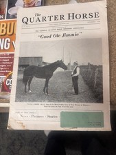 The Quarter Horse