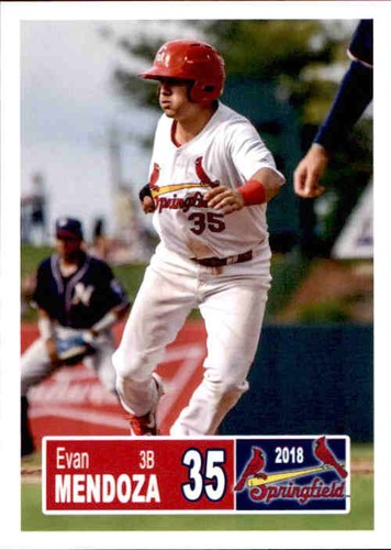 2018 springfield cardinals - 2018,