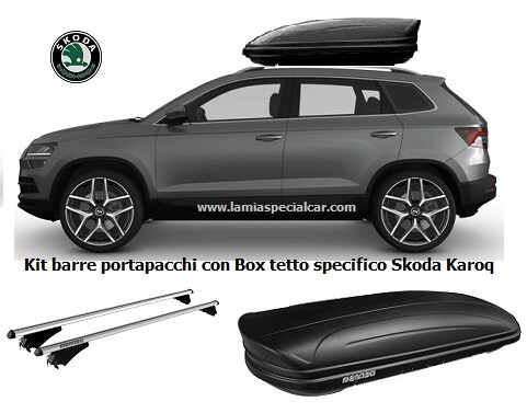 Box baule portatutto - box,