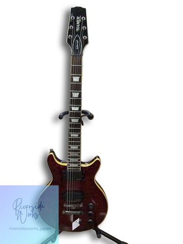Hamer series sunburst t - series, q/t