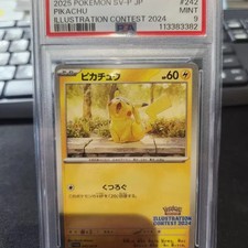 Pokémon Pikachu 2024