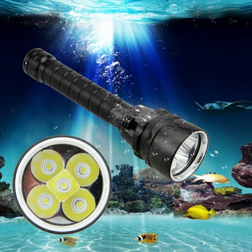 Torcia led subacquea 100 - led,