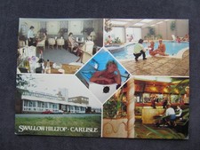 Vintage Postcard of Swallow