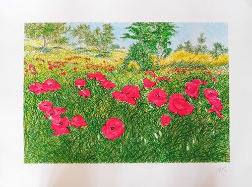 Franco azzinari 80x60 - cm, prova