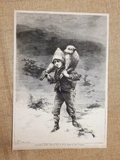 La pecorella smarrita Quadro