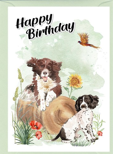 Biglietto compleanno springer - biglietto,