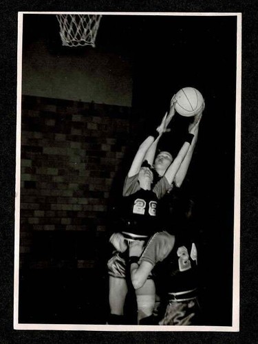 Donna basket palestra scura - palestra,