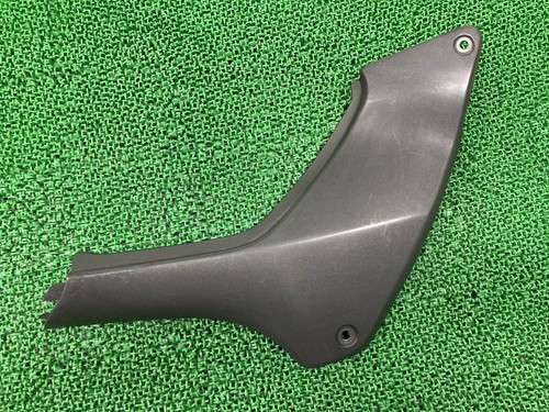 Hornet 250 coperchio - hornet,