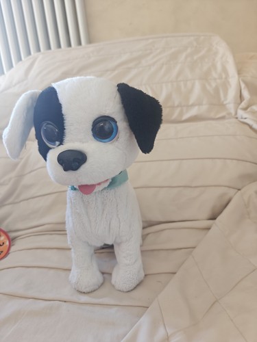Peluche cane - peluche,