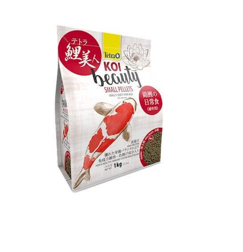 Tetra koi beauty small - koi, per