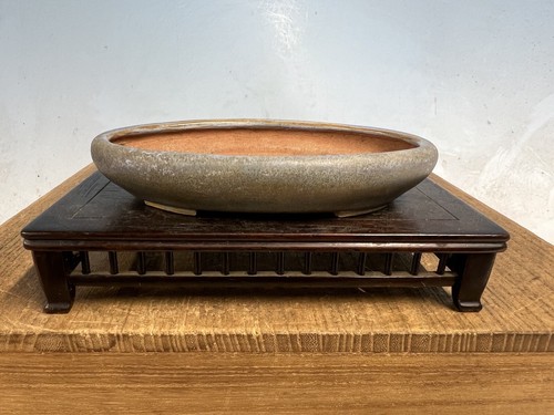 Bellissimo vaso per - , bonsai