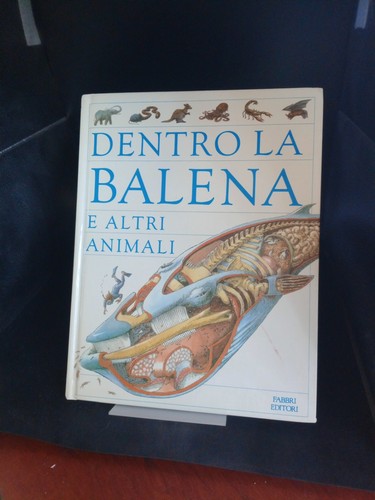 Dentro balena altri - la,