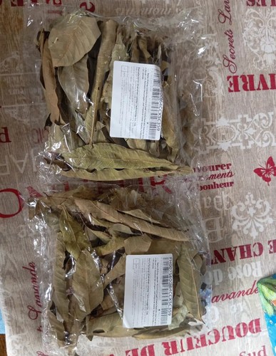 100 foglie guava - di, per
