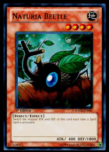 Naturia beetle ha02 - -, lp