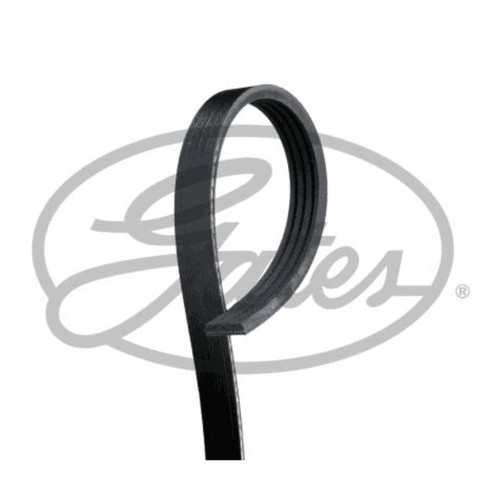 Gates cinghia per - v, fiat