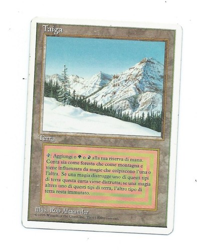 Magic mtg taiga fwb italian - magic,