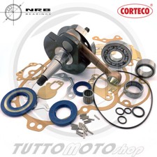 KIT REVISIONE COMPLETO ALBERO