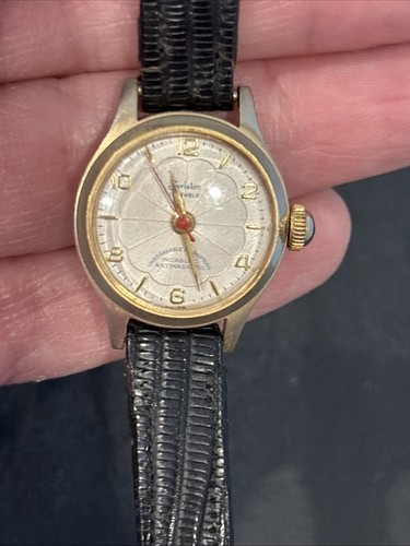 Orologio donna tarleton - orologio,