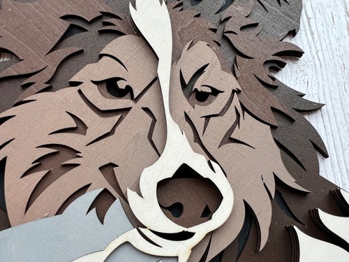 Border collie cane quadro - , 3d