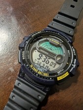 Casio WS-1200H Grafico
