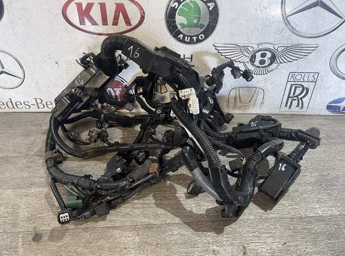Telaio cablaggio motore - telaio, honda